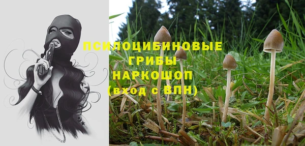 ГАЛЛЮЦИНОГЕННЫЕ ГРИБЫ Надым