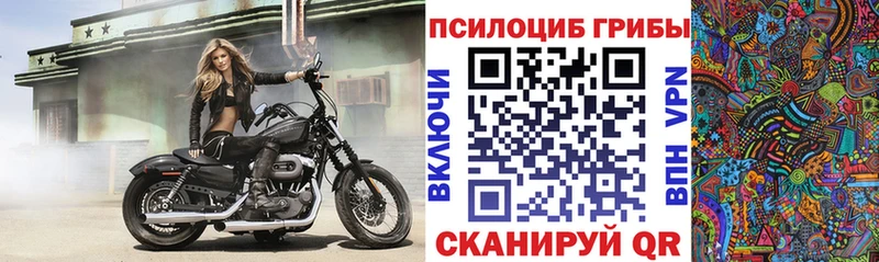 Псилоцибиновые грибы Magic Shrooms  как найти закладки  blacksprut маркетплейс  Подольск 