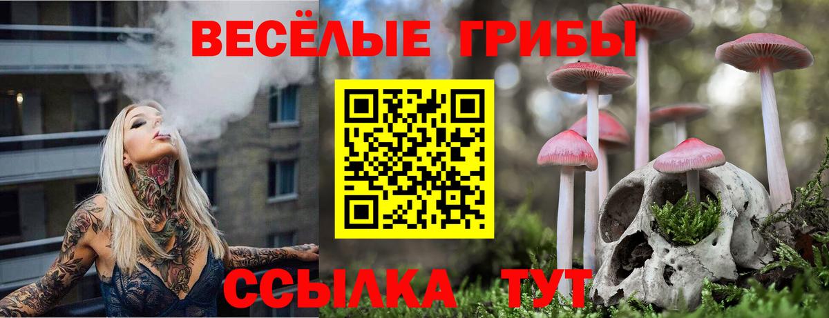 Гашиш Подольск