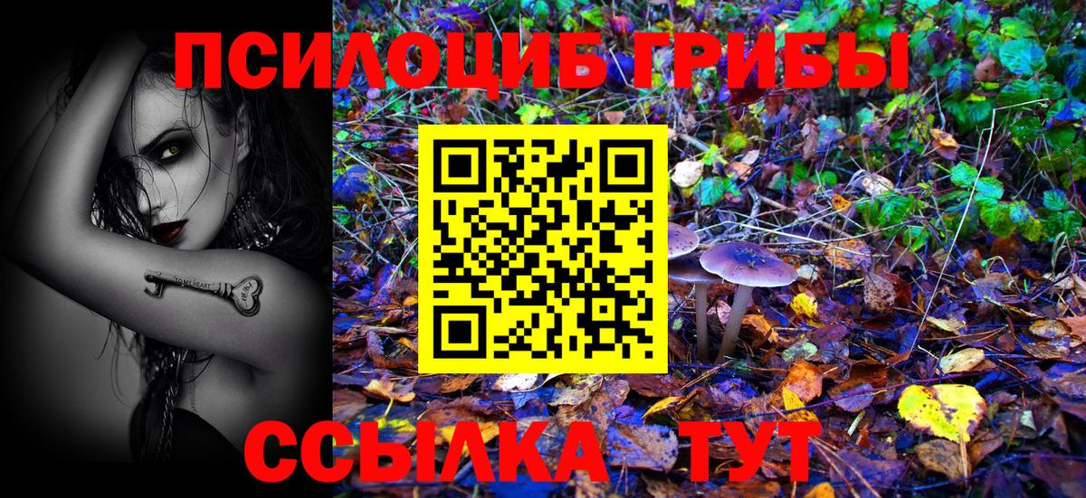 Псилоцибиновые грибы ЛСД  Вход с VPN  наркотики  Подольск  Галлюциногенные грибы Cubensis 